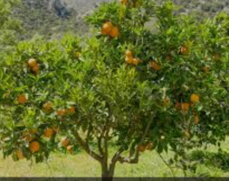 Cortijo El Llano Villa Almeria Luaran gambar